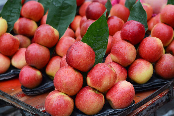 Apples Envy 1kg