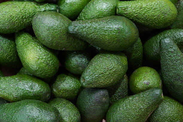 Avocado 5 Pack