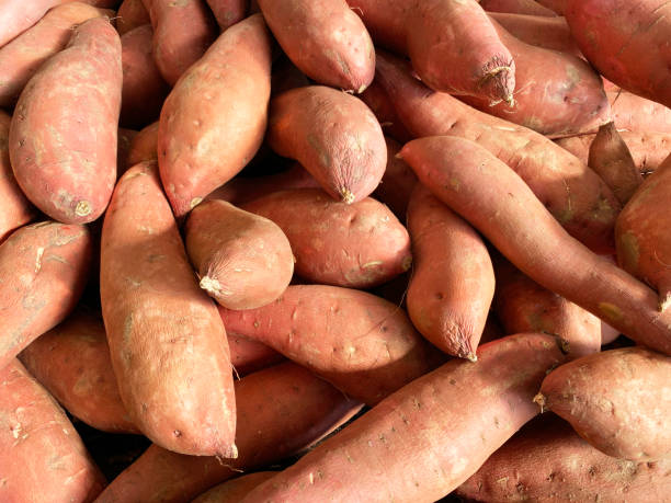 Sweet Potato Gold 1kg