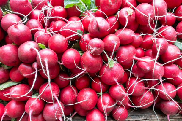 Radish red 1kg