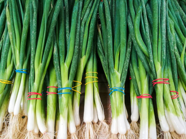 Spring Onion Eschallot Bunch