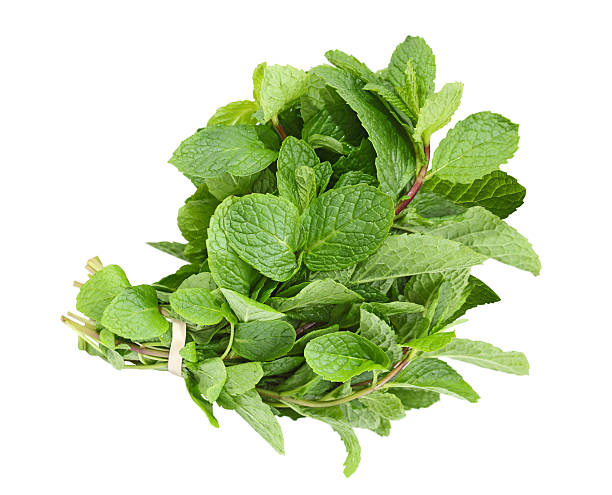 Mint Bunch